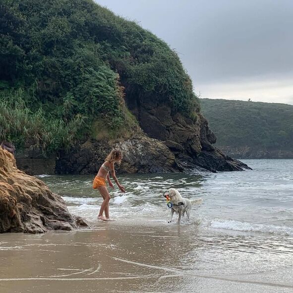 Chien courant sur une plage lors d’une sortie spéciale à la mer